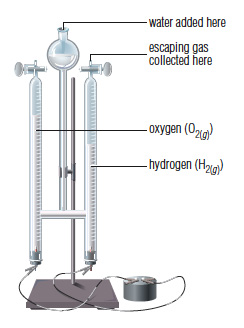 Quiz 6.1 Synthesis Reactions and Decomposition Reactions